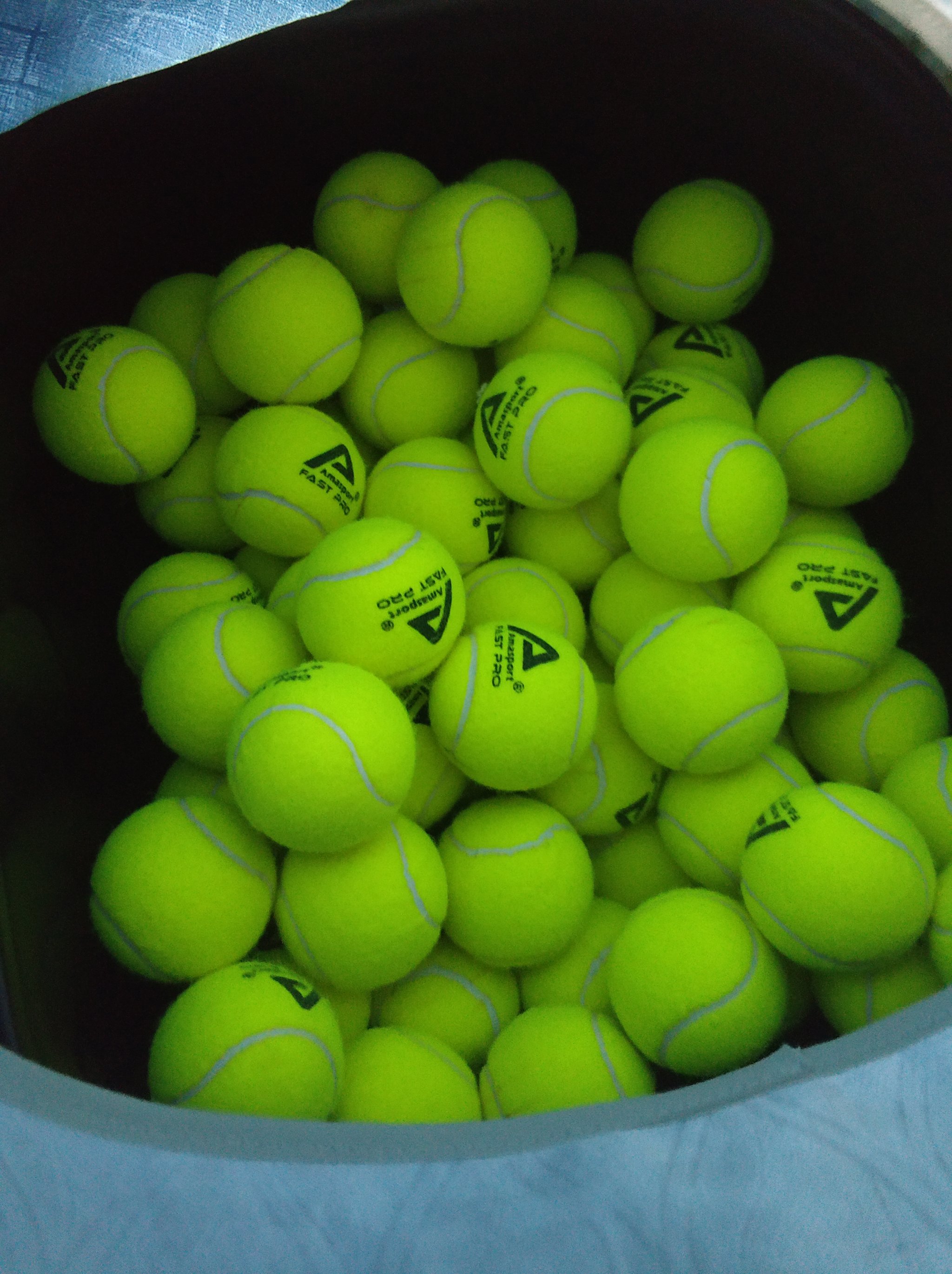 在罗马的终 在罗马的终