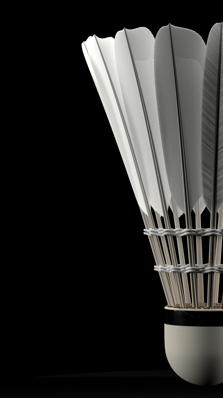 另一名球员 另一名球员