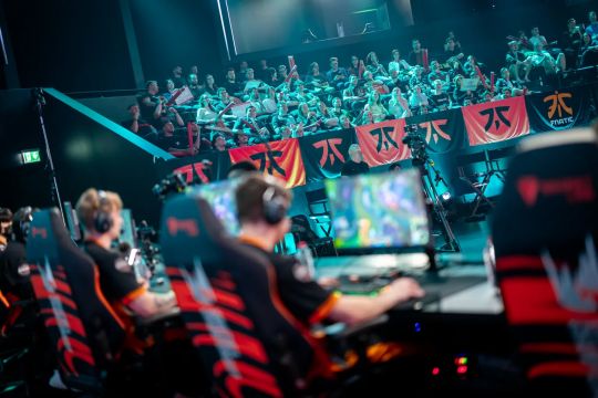 联盟建立了 联盟建立了